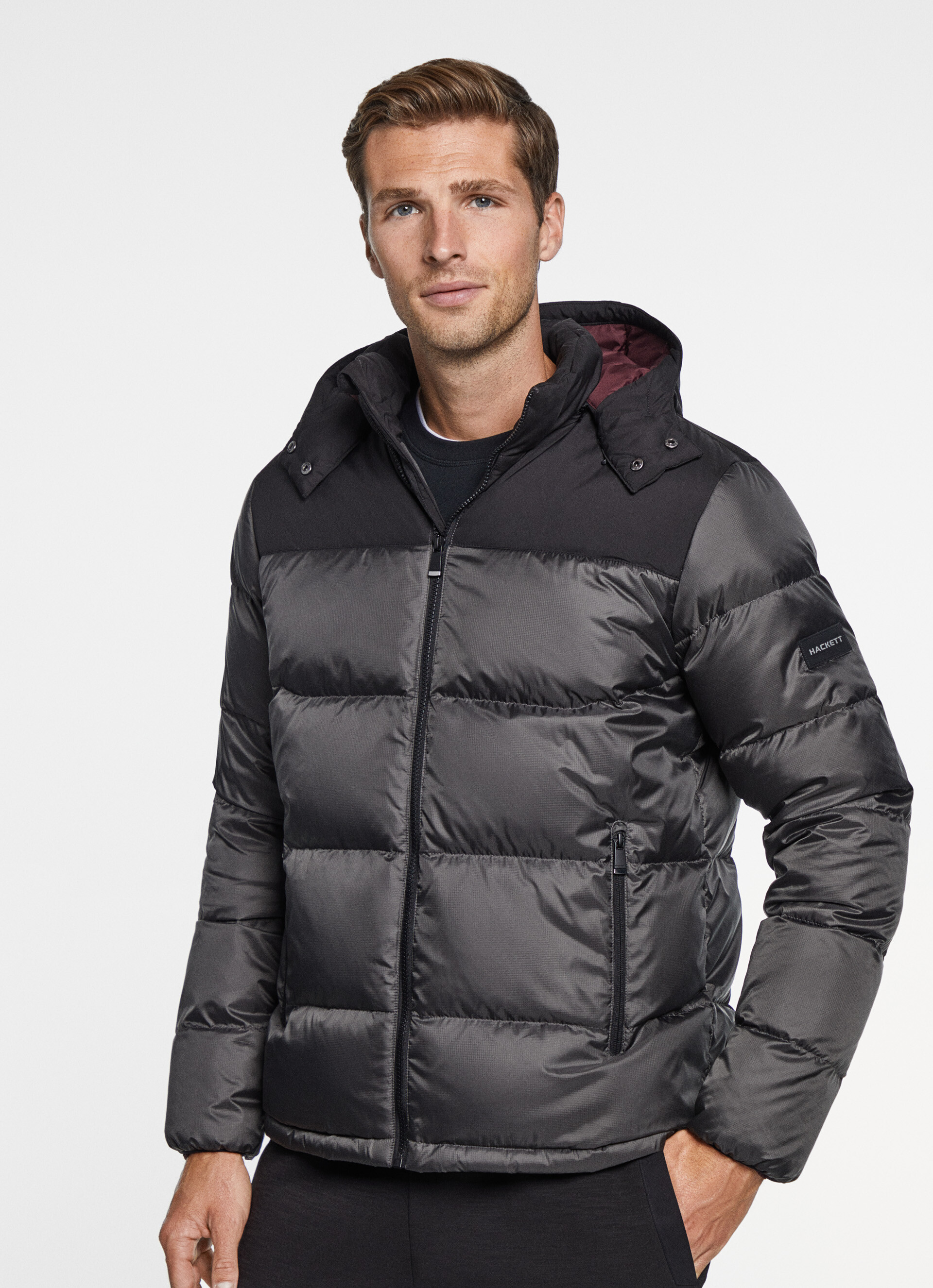 Hackett sale puffer jacket